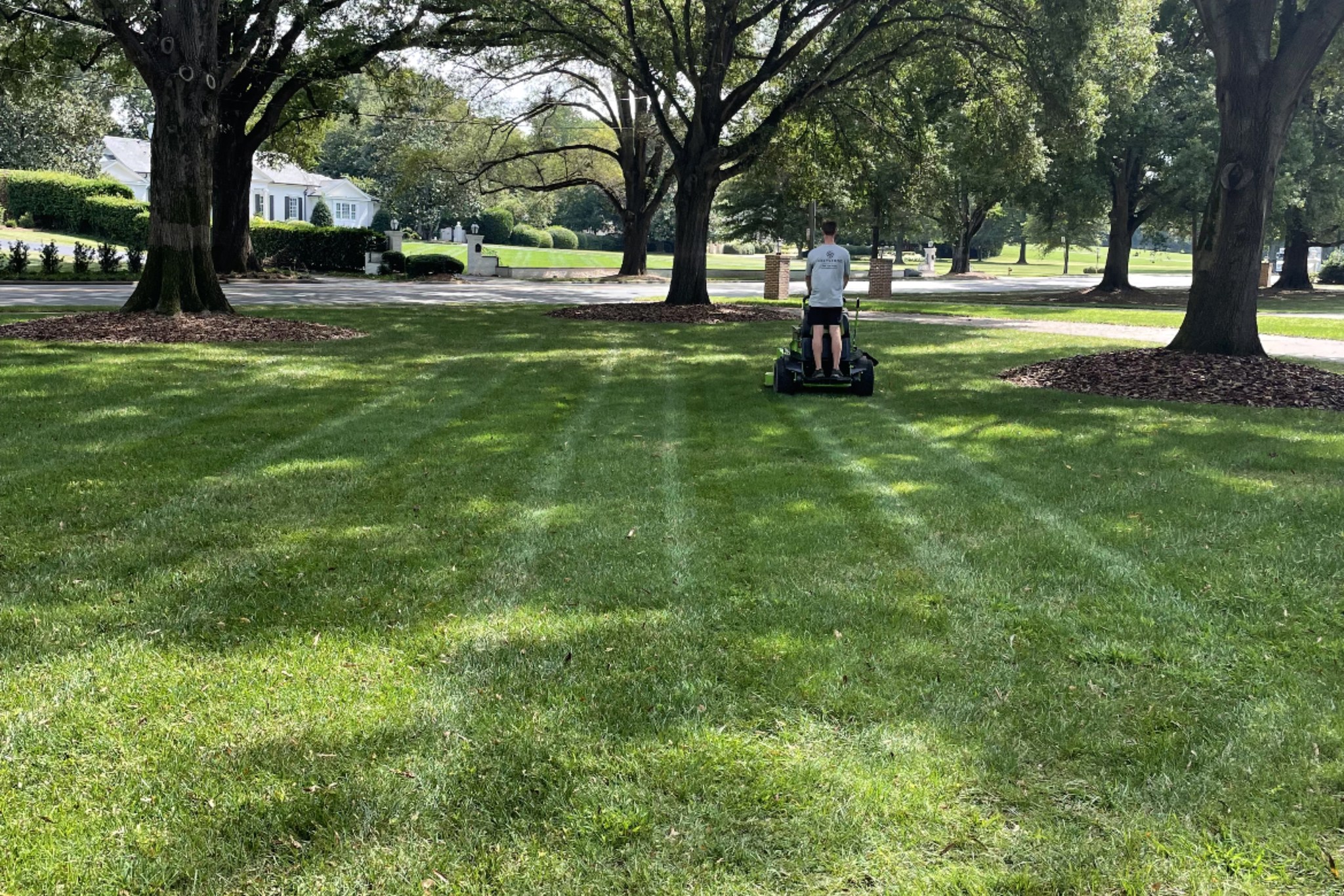 what-is-lawn-care-lawn-maintenance-treatement