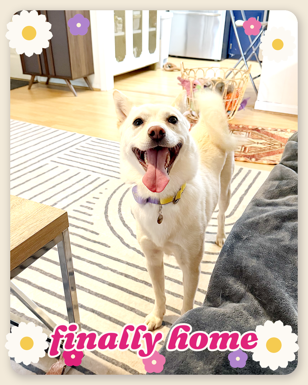 Suri standing in the living room with her mouth open in a grin, with the words finally home