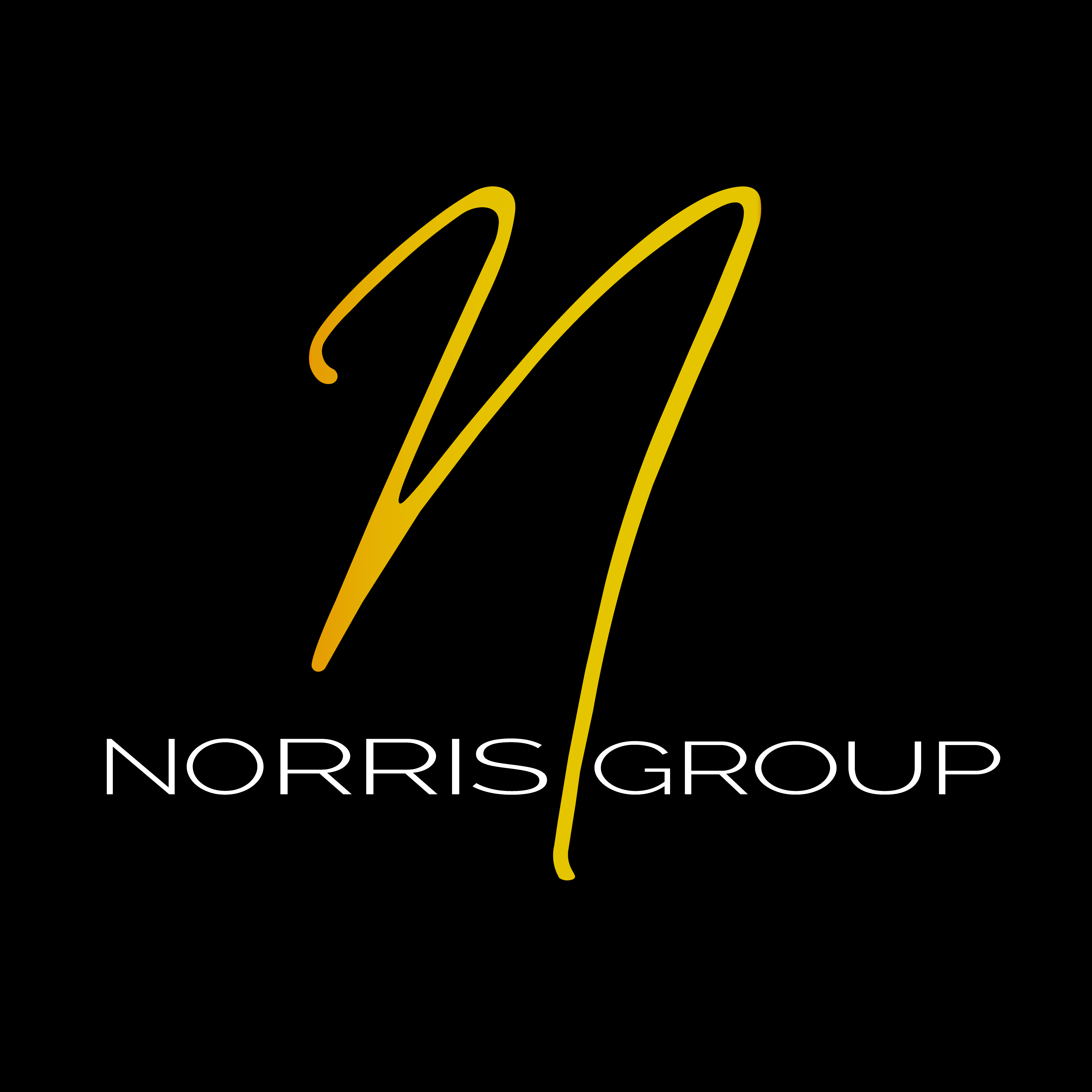 Norris Group Logo