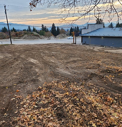 Demolition Cleanup