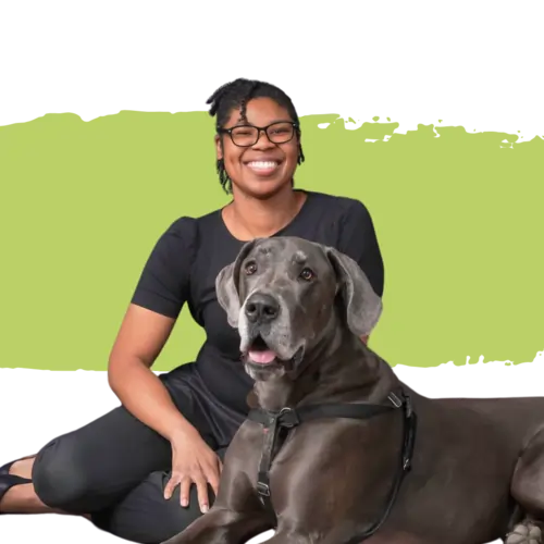 Chanté Dawston CPA