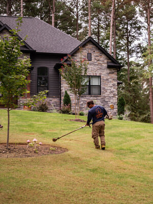 {{ custom_values.service_2 }} in {{custom_values.area_2})