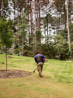 {{ custom_values.service_3 }} in {{custom_values.area_1})