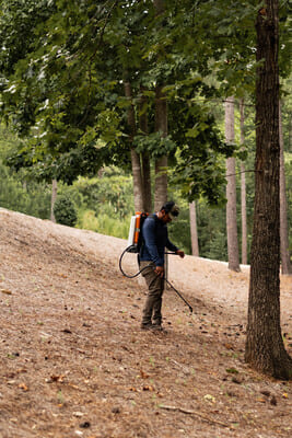 {{ custom_values.service_1 }} in {{custom_values.area_3})