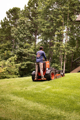 {{ custom_values.service_3 }} in {{custom_values.area_3})