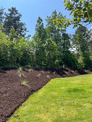 {{ custom_values.service_1 }} in {{custom_values.area_1})