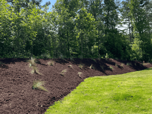 Landscaping in Seneca