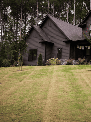 {{ custom_values.service_1 }} in {{custom_values.area_2})