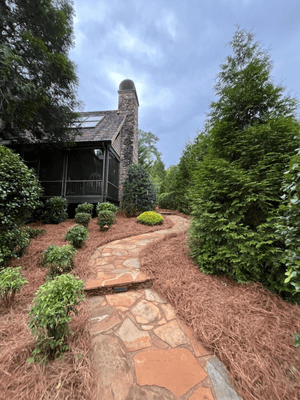 {{ custom_values.service_2 }} in {{custom_values.area_1})