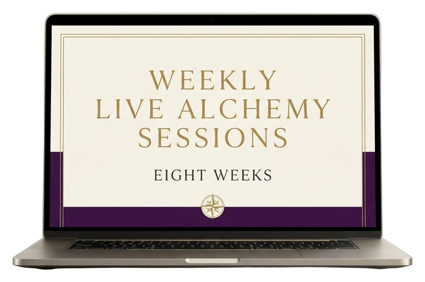oto3 live sessions