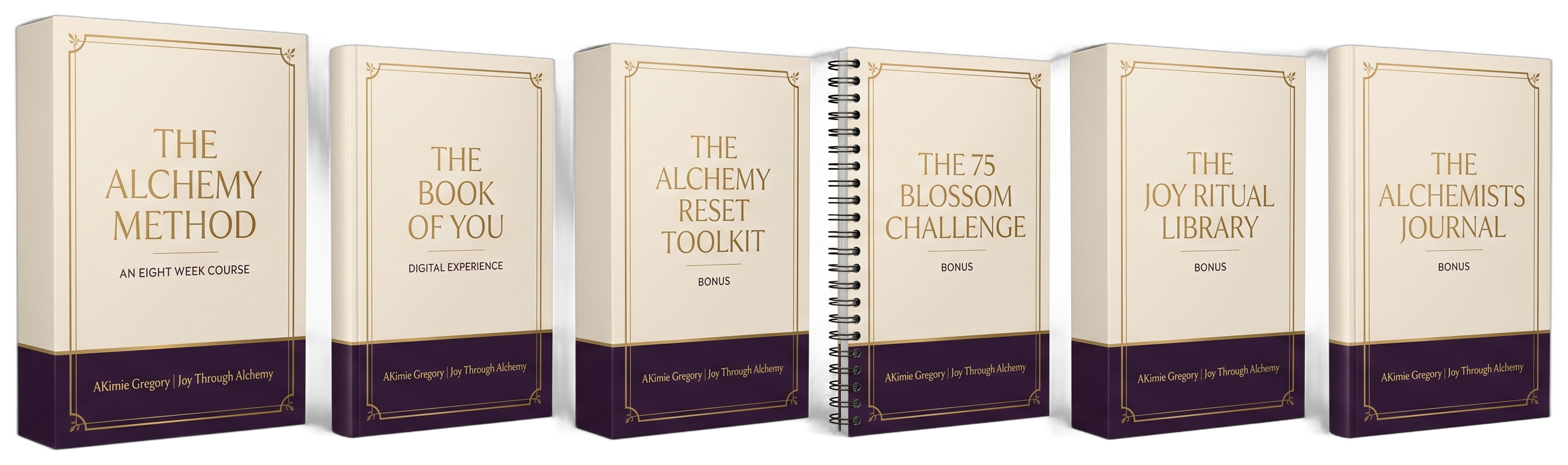 The Joy Through Alchemy Method bundle with all six bonuses