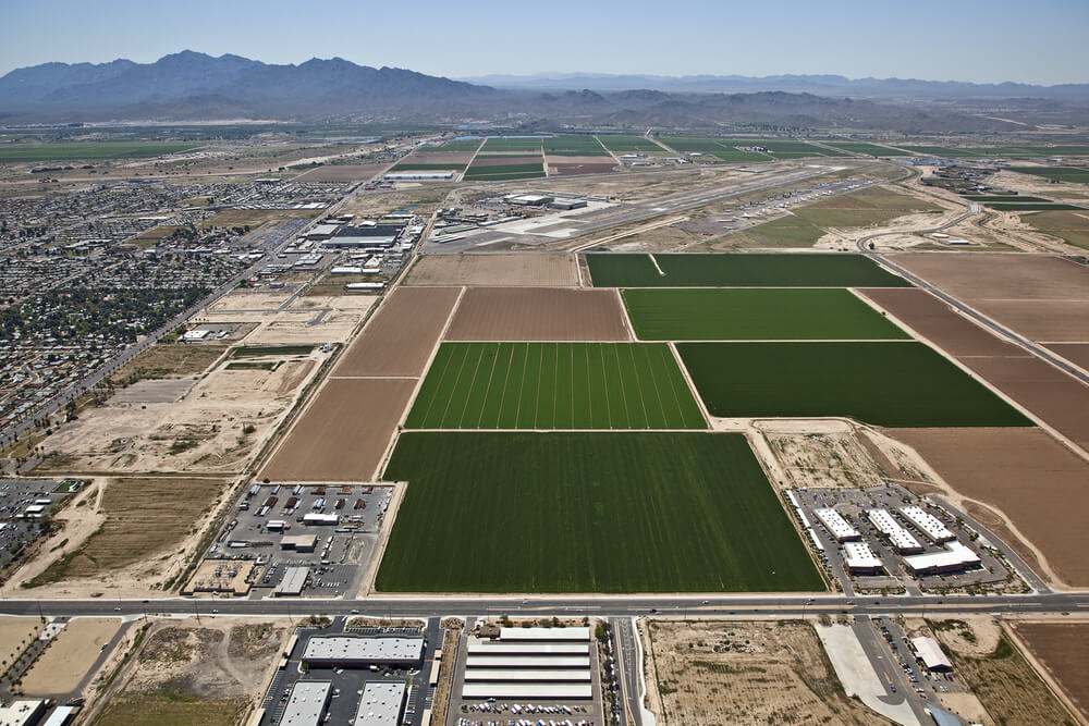Historic cotton fields in the Arizona desert