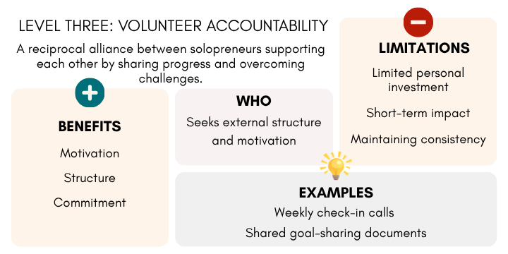 Solopreneur accountability infographic
