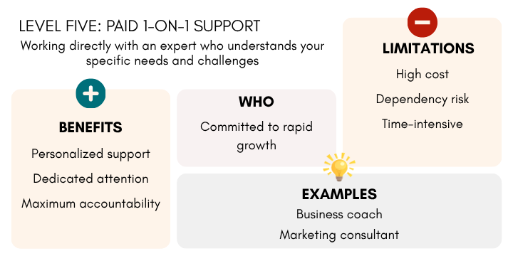 Solopreneur one-on-one support infographic