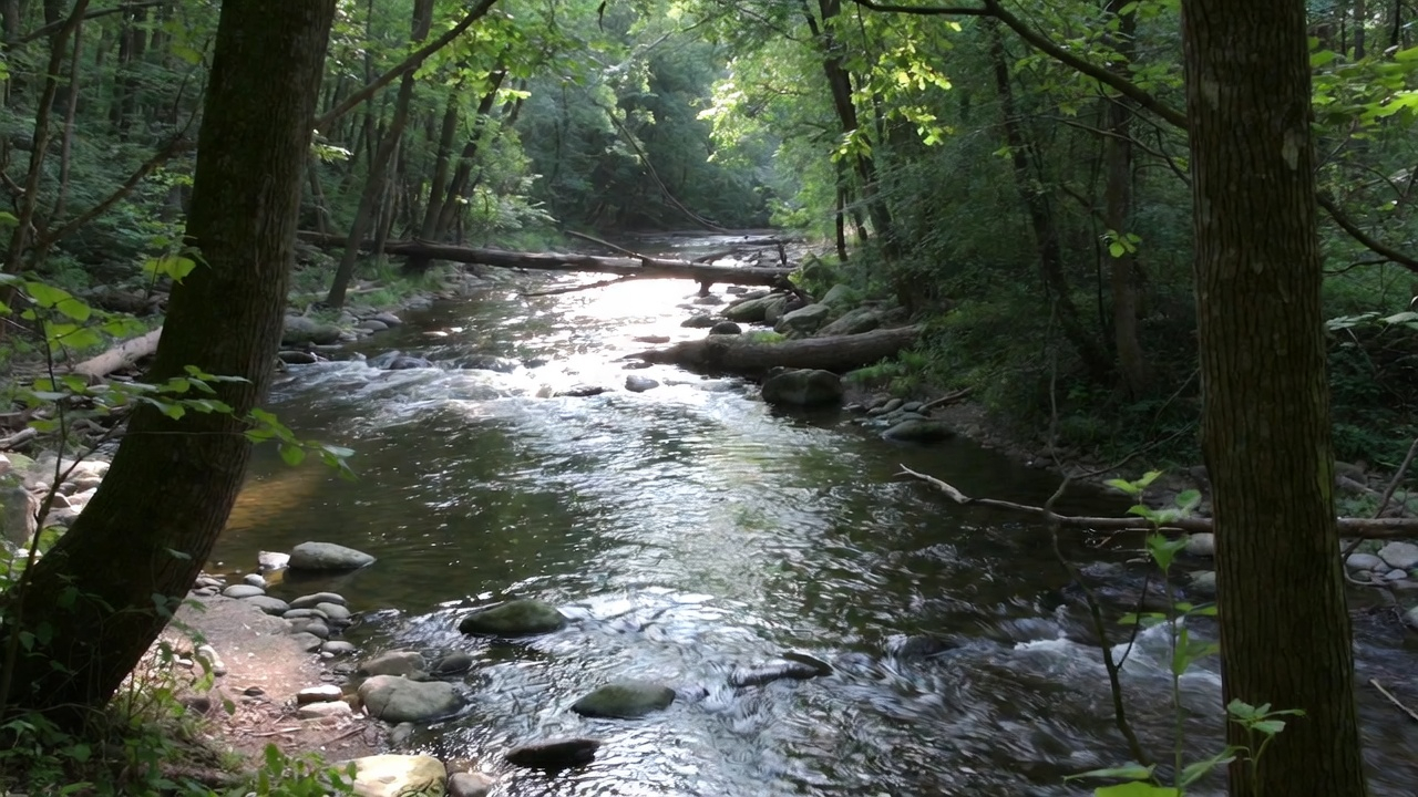 A serene river winding through a dense forest, sunlight filtering through trees, casting dappled light on the water. The river curves naturally around rocks and fallen logs, showing the beauty of its winding path. A serene river winding through a dense forest, sunlight filtering through trees, casting dappled light on the water. The river curves naturally around rocks and fallen logs, showing the beauty of its winding path.