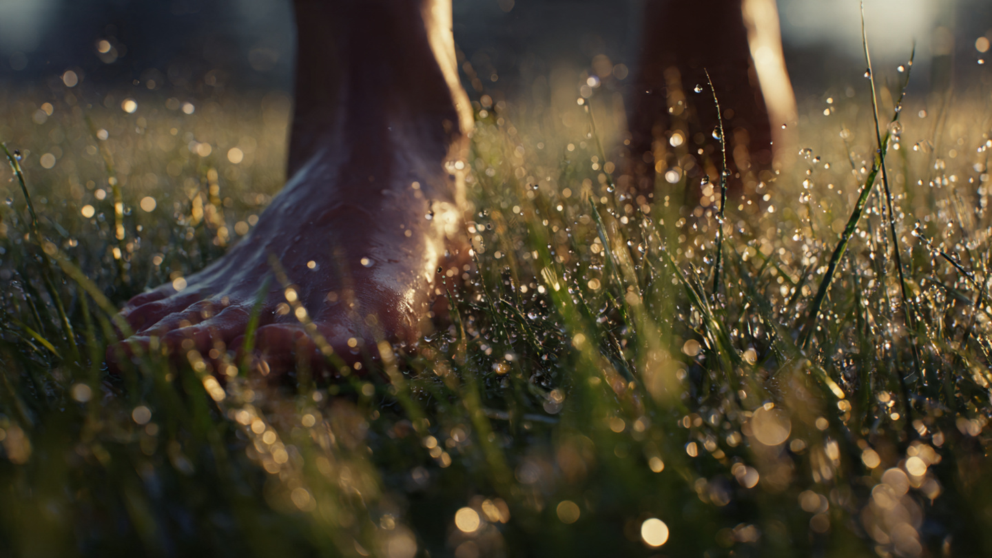 Extreme close-up of a bare foot stepping onto dewy morning grass for the first time. Sunlight catching the droplets. The rest of the body is slightly blurred in the background, already in motion. Symbolizes the one small action—the step that changes everything. Extreme close-up of a bare foot stepping onto dewy morning grass for the first time. Sunlight catching the droplets. The rest of the body is slightly blurred in the background, already in motion. Symbolizes the one small action—the step that changes everything.