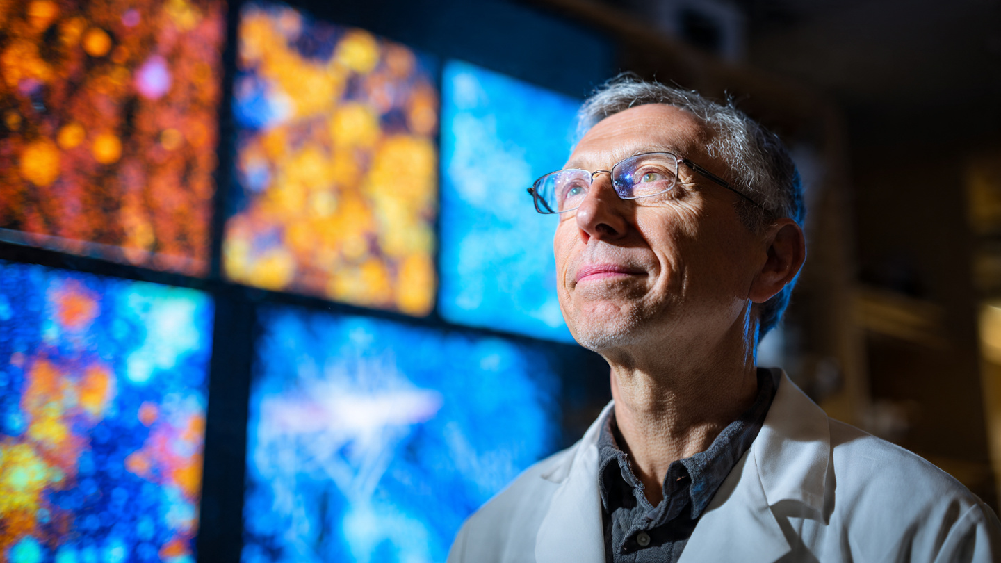 A Harvard geneticist in a white lab coat standing in a modern laboratory. Behind him, a large digital screen displays before-and-after imagery of cellular rejuvenation—old, fragmented cells on the left transitioning to young, luminous cells on the right. His expression is contemplative, focused, on the verge of discovery. Soft blue and warm amber lighting. The mood is scientific, groundbreaking, hopeful. A Harvard geneticist in a white lab coat standing in a modern laboratory. Behind him, a large digital screen displays before-and-after imagery of cellular rejuvenation—old, fragmented cells on the left transitioning to young, luminous cells on the right. His expression is contemplative, focused, on the verge of discovery. Soft blue and warm amber lighting. The mood is scientific, groundbreaking, hopeful.