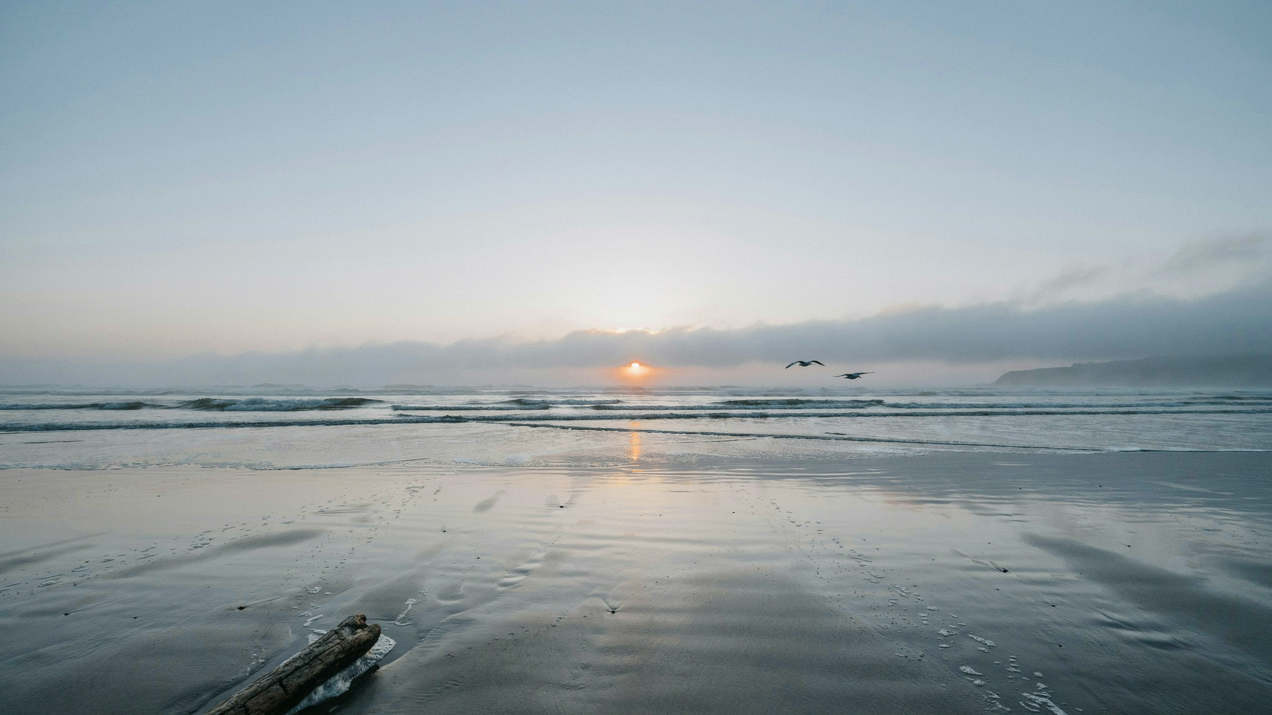 A serene sunrise over a calm ocean, golden light breaking through soft mist, symbolizing new beginnings and conscious creation. 