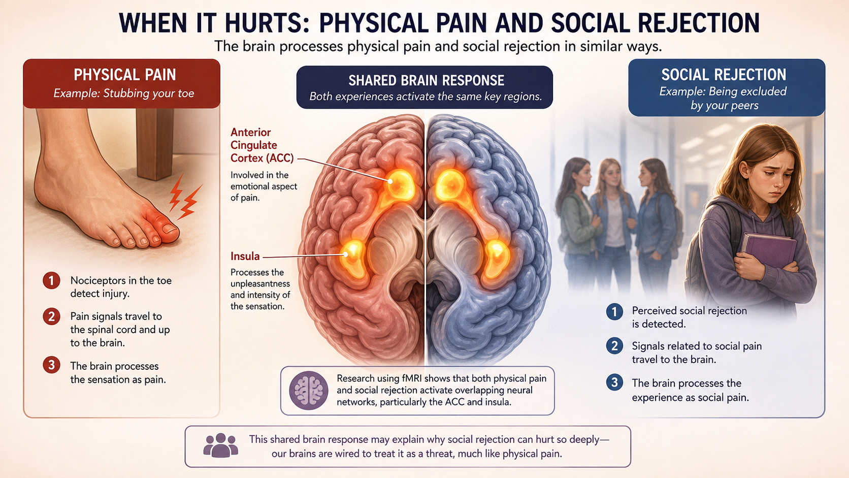 Brain scan comparison showing social rejection and physical pain activate identical neural regions