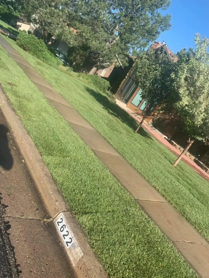 Full Yard Maintenance Weber County