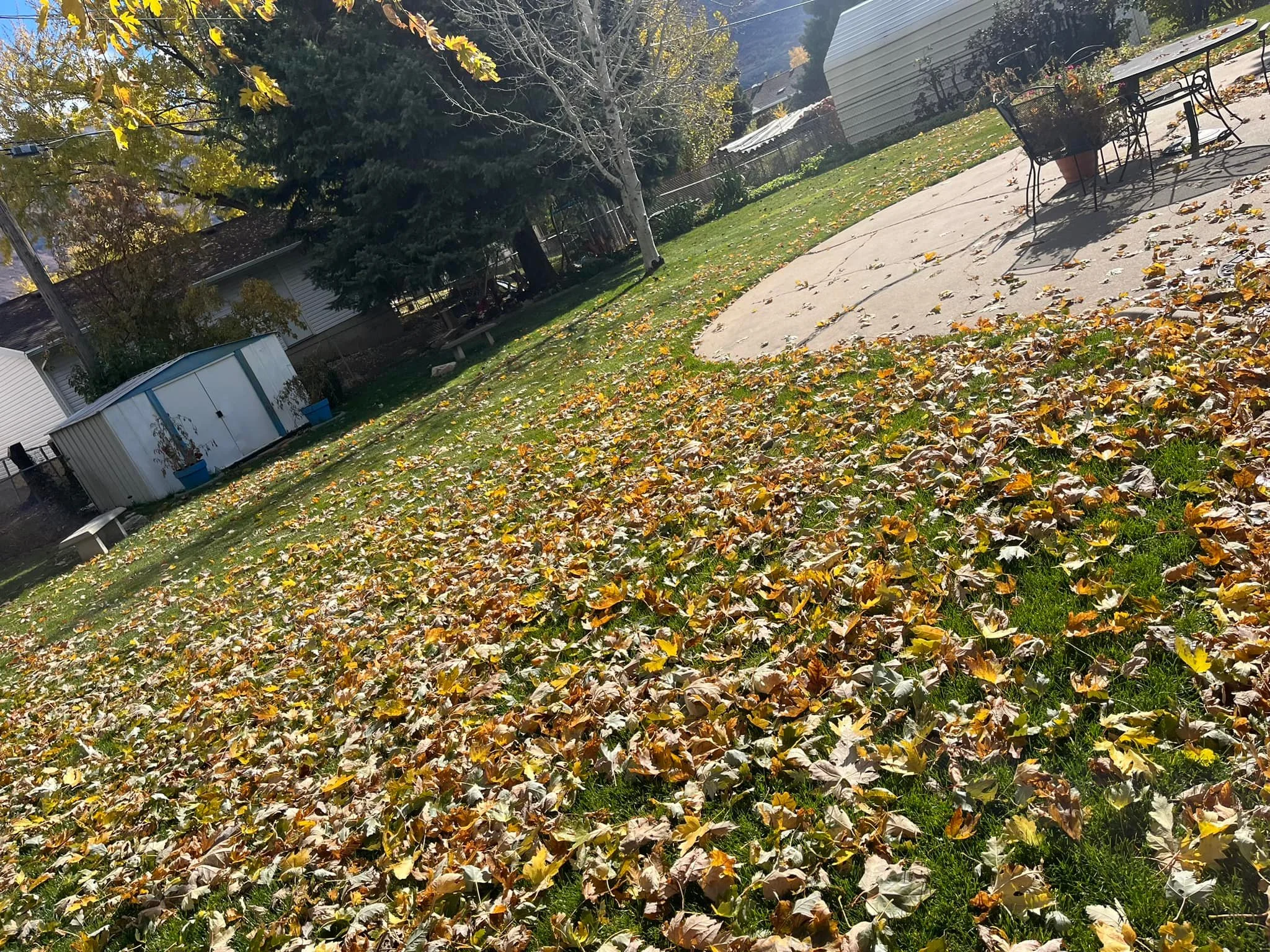 Spring & Fall Cleanups in Weber County