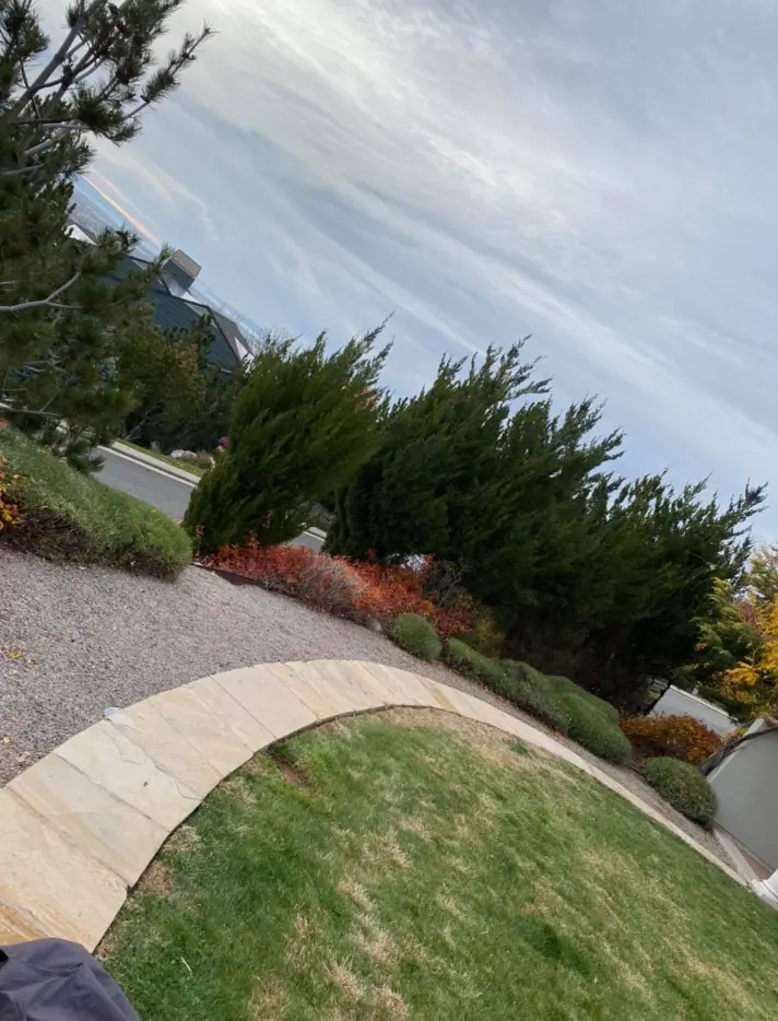 Commercial Landscaping