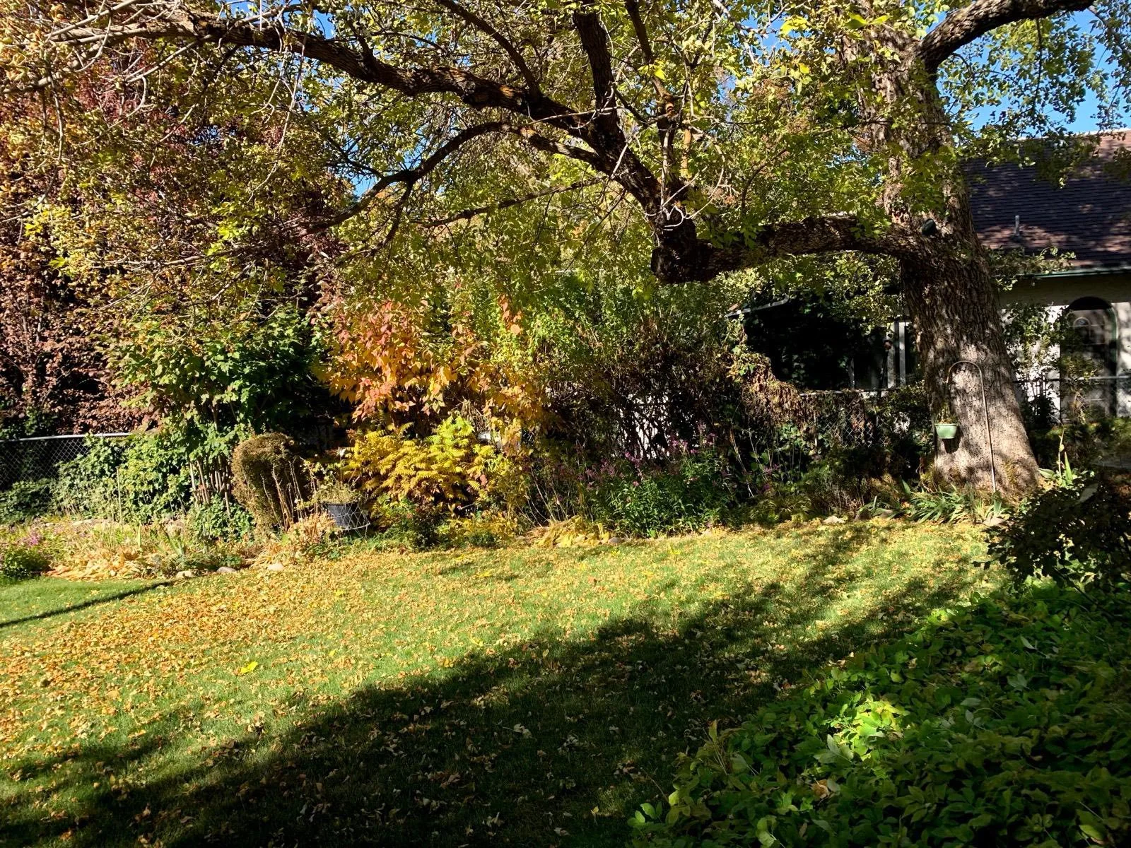 Residential Landscaping