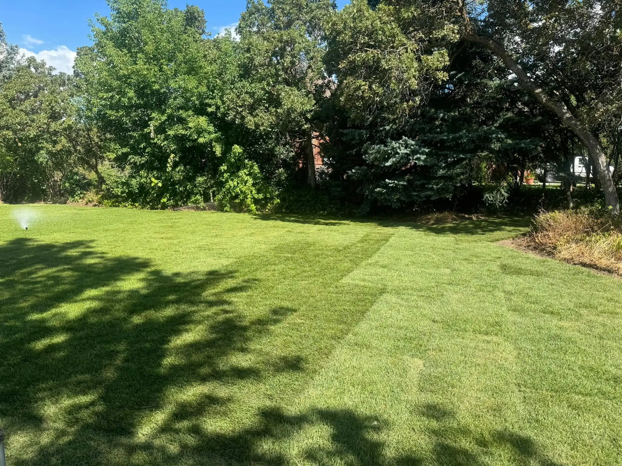 North Ogden Residential Landscaping