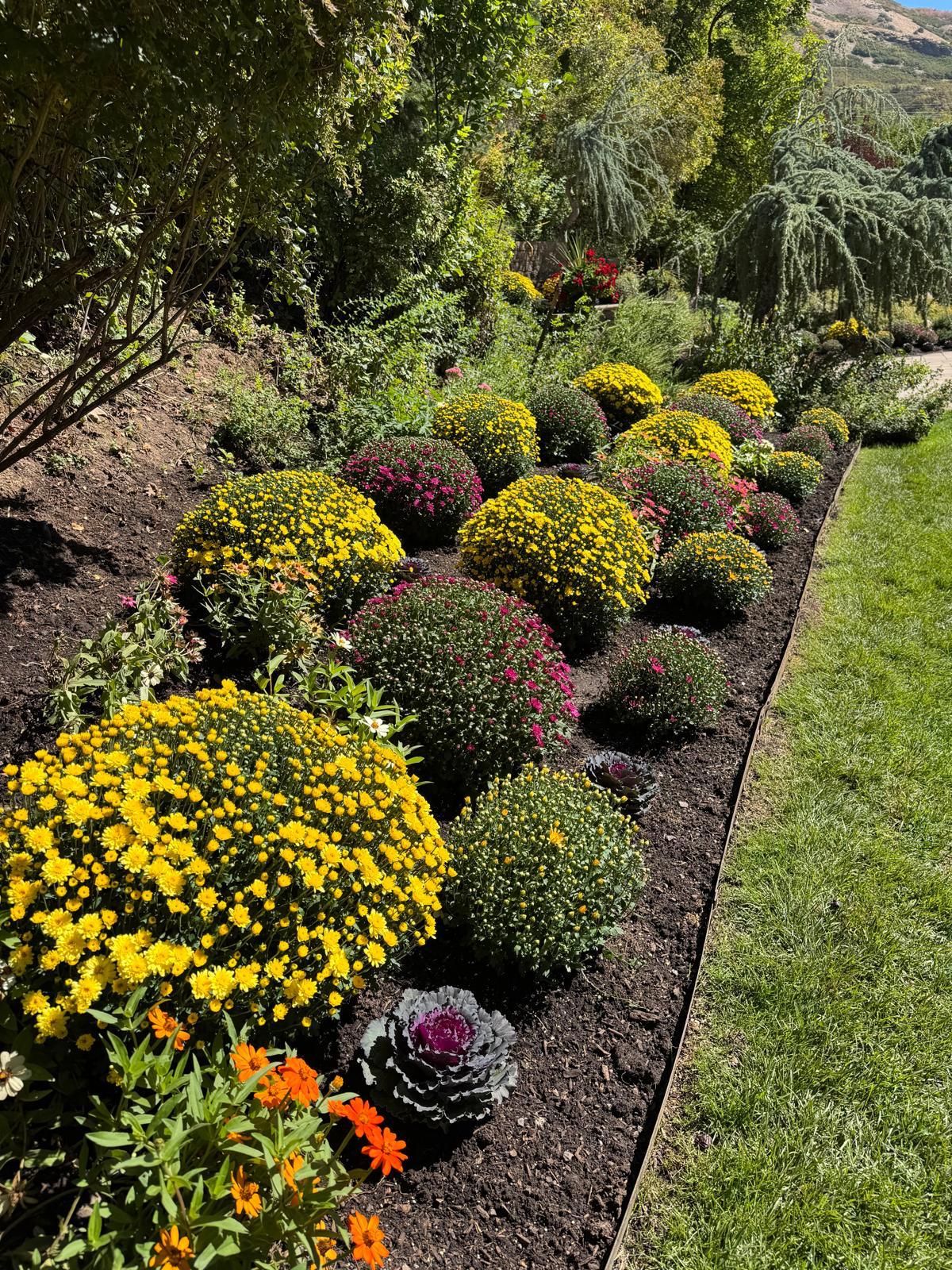 Spring & Fall Cleanups in Weber County