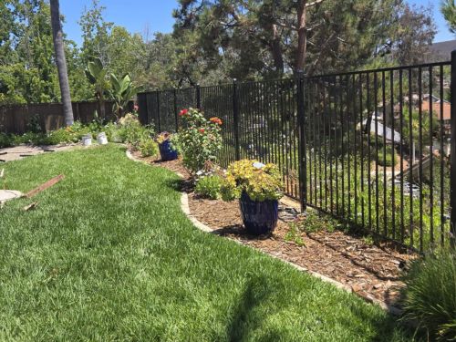 Iron Fencing in San Marcos