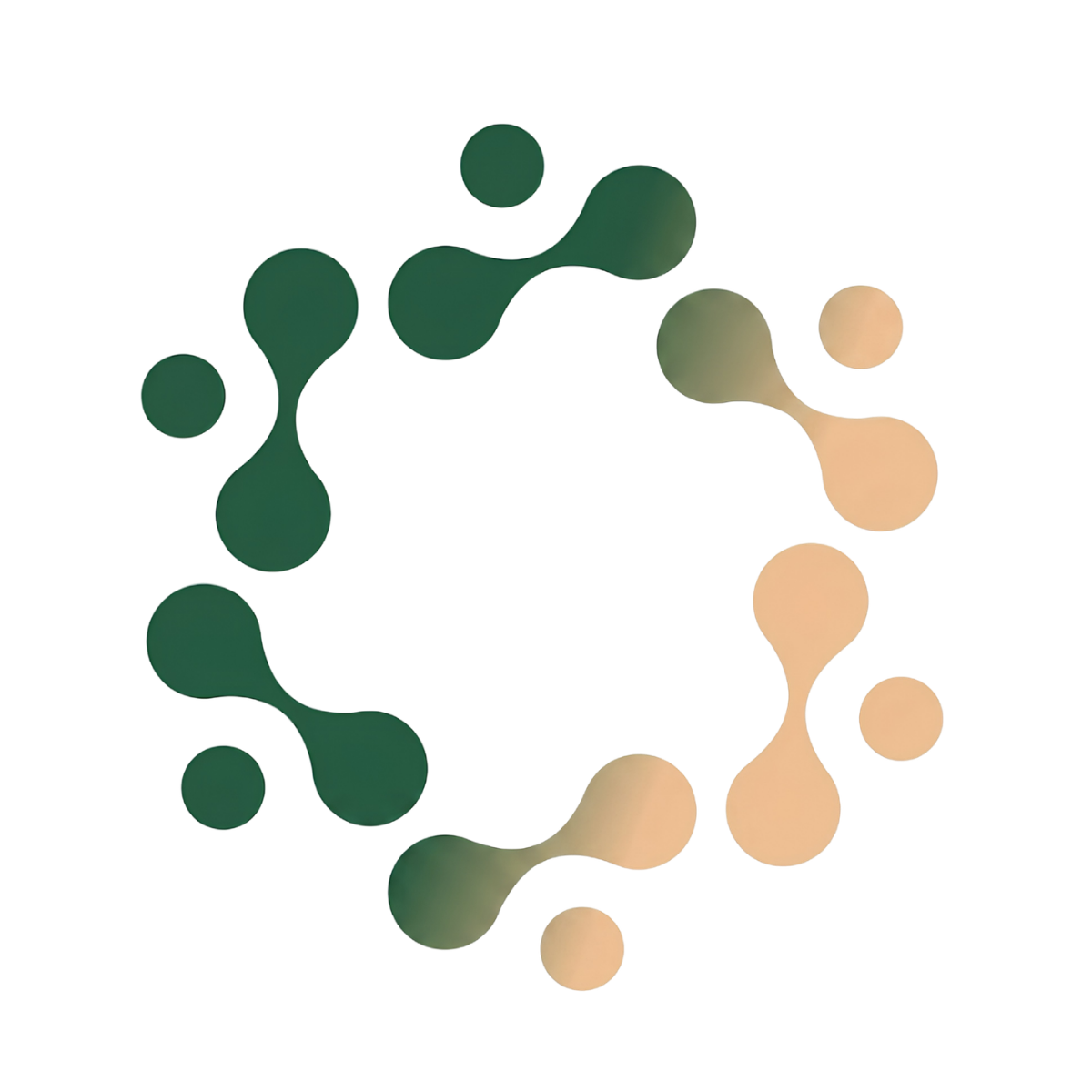 NetworkHub.Asia