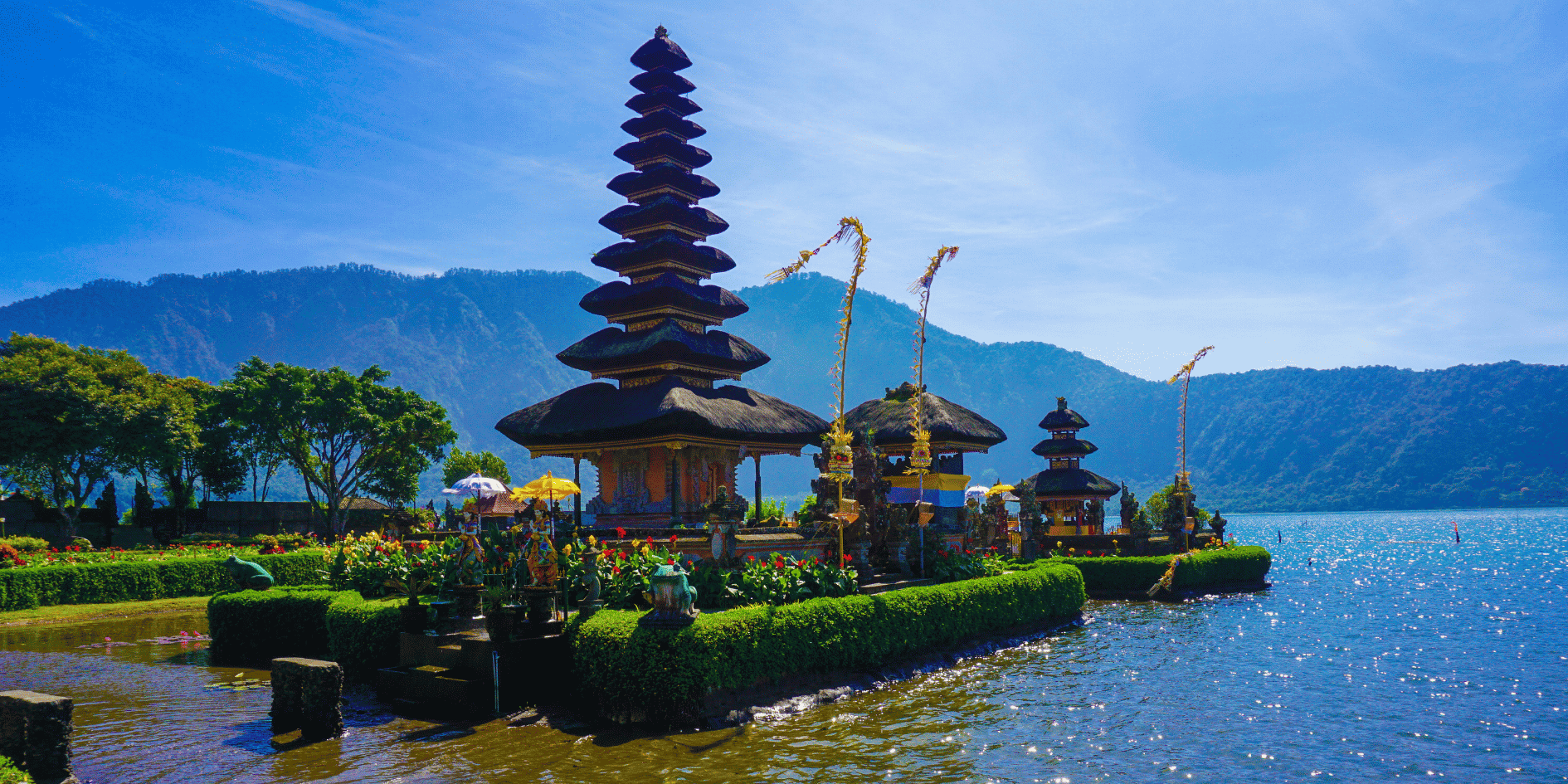Bali Network