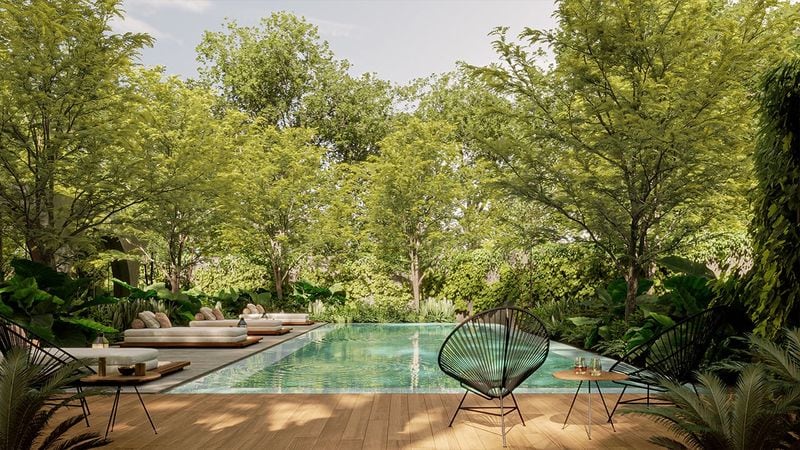 Alberca y roof garden