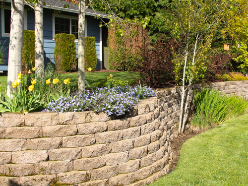 Retaining Walls in Rothesay