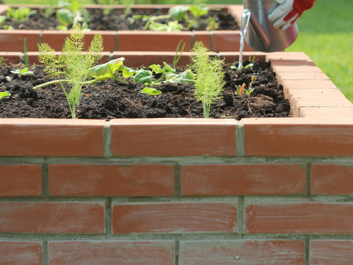 Raised Bed Planters in Rothesay
