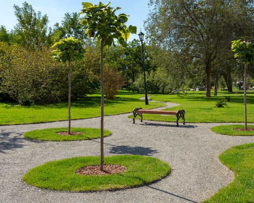 Landscape Design