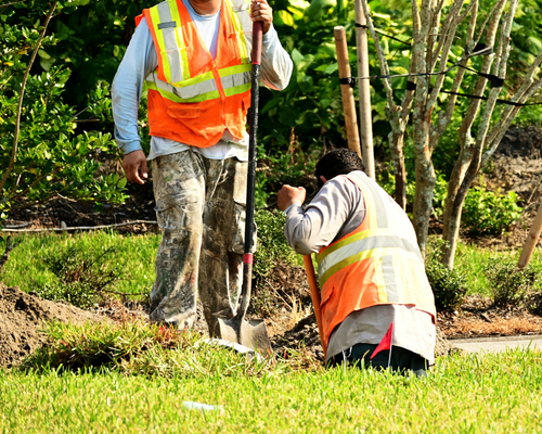  Landscape Design