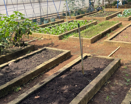 Hampton Walkway Installation