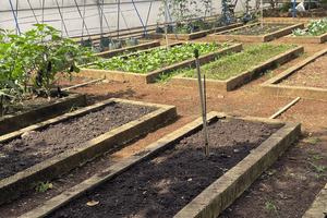 Landscape Design Rothesay