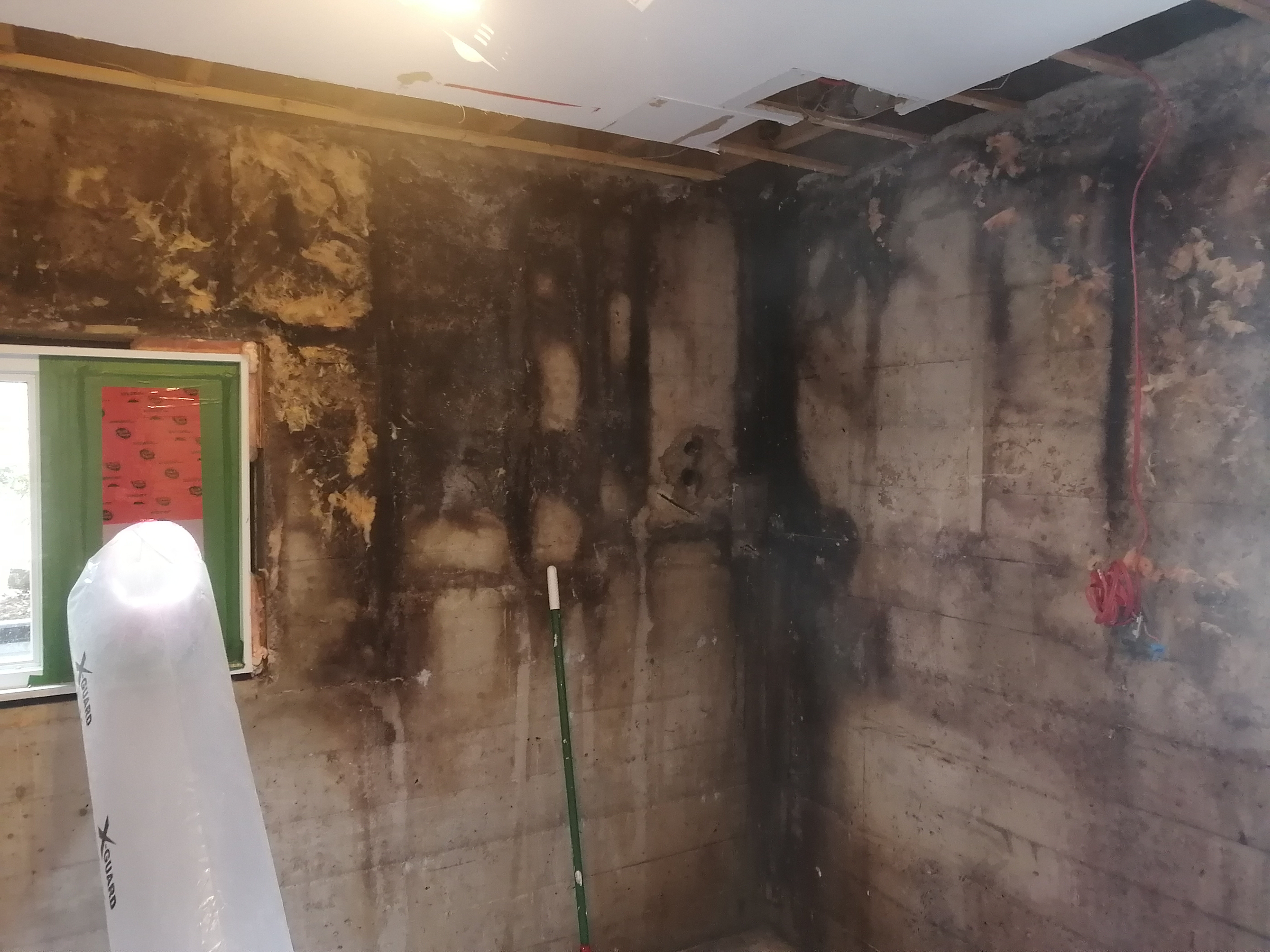 Moisissure noire visible sur un mur intérieur, décontamination requise par GES Bâtiment
