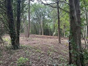 {{ custom_values.service_1 }} in {{custom_values.area_3})