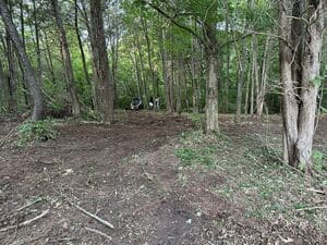 {{ custom_values.service_2 }} in {{custom_values.area_3})