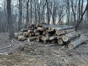 {{ custom_values.service_3 }} in {{custom_values.area_3})