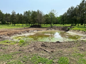 {{ custom_values.service_4 }} in {{custom_values.area_2})