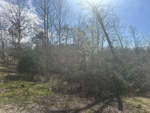 {{ custom_values.service_2 }} in {{custom_values.area_6})