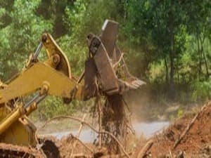 {{ custom_values.service_1 }} in {{custom_values.area_5})