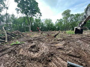 {{ custom_values.service_4 }} in {{custom_values.area_6})