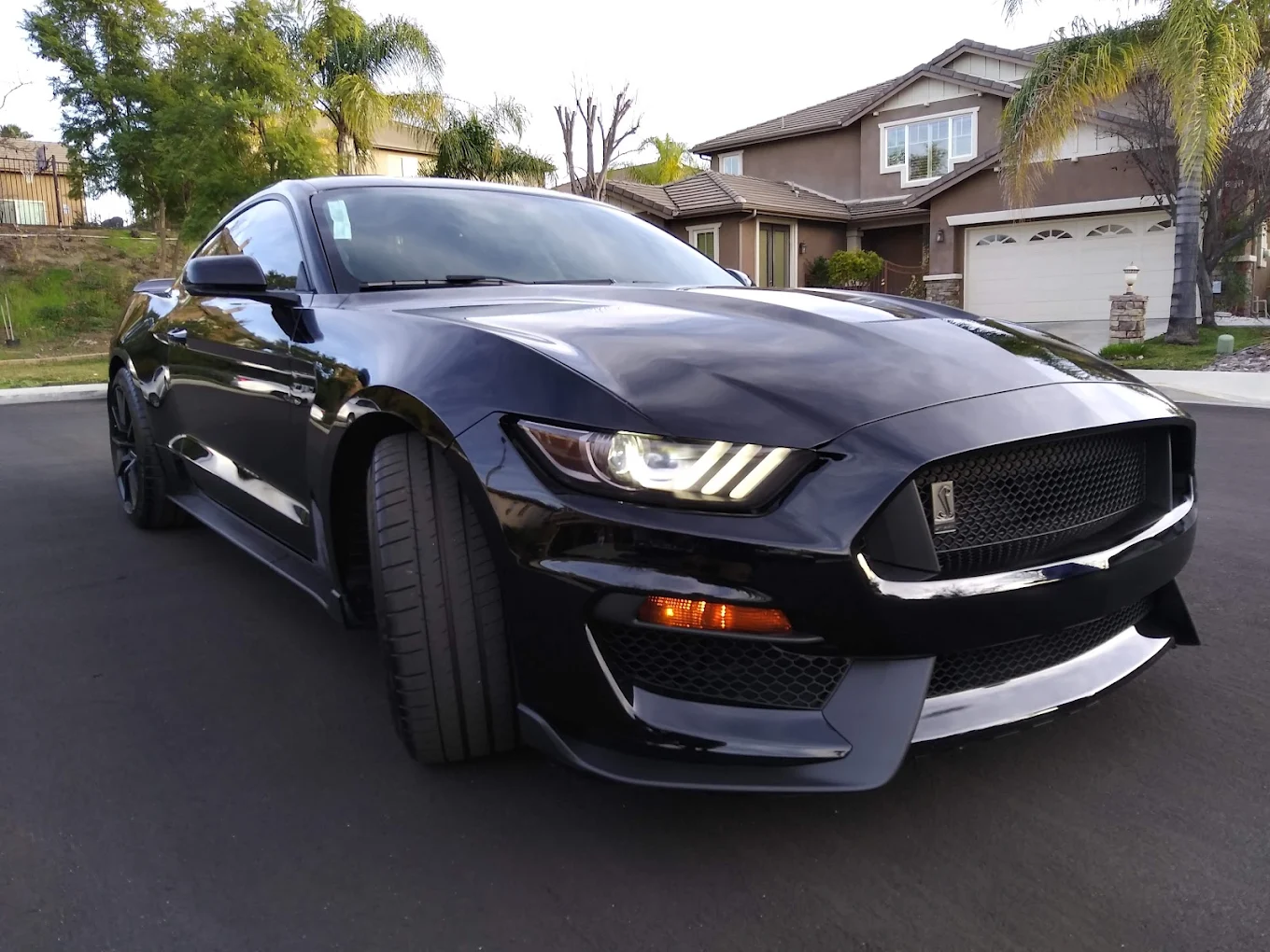 Auto tint work
