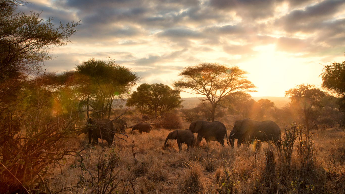 Tanzania