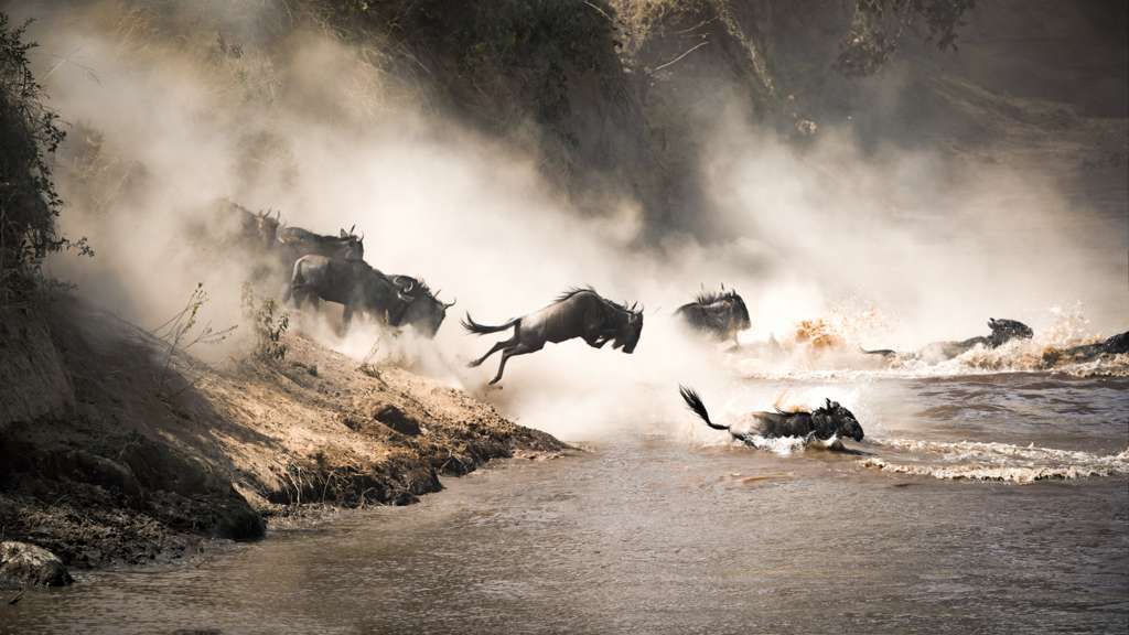 Micato Safari Africa luxury experience